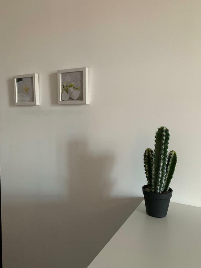 Beau T4 Hyper Centre Avec Parking Appartement Perpignan Buitenkant foto